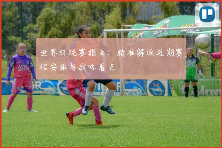 世界杯观赛指南：精准解读近期赛程安排与战略看点