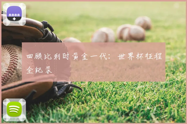 回顾比利时黄金一代:世界杯征程全纪录