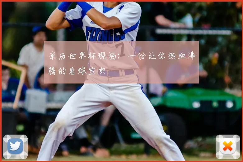 亲历世界杯现场:一份让你热血沸腾的看球宝典