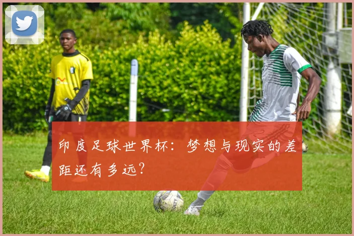 印度足球世界杯:梦想与现实的差距还有多远?