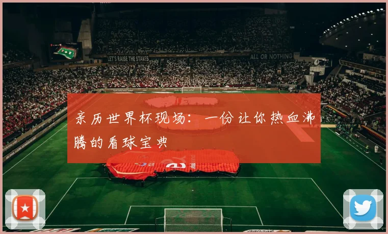 亲历世界杯现场:一份让你热血沸腾的看球宝典