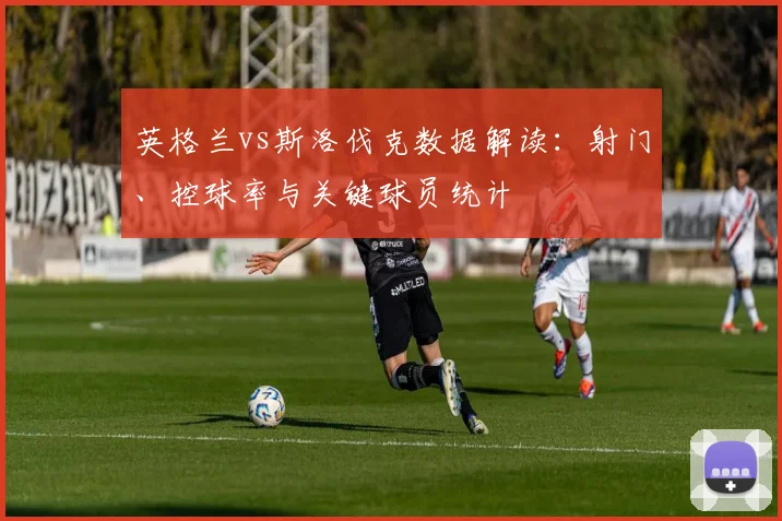英格兰vs斯洛伐克数据解读:射门、控球率与关键球员统计